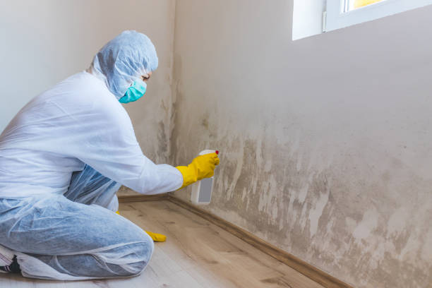 Commercial Mold Remediation assessment for commercial property in Holly Springs